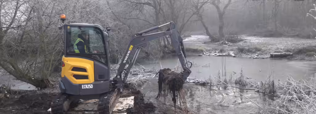 Wood Clearance